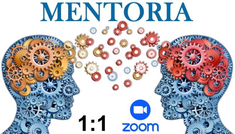 Mentoría 1&1 Zoom