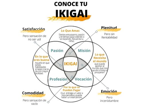 Conoce tu Ikigai: 15 Leyes para Convertirte en un Agente Comercial Excepcional